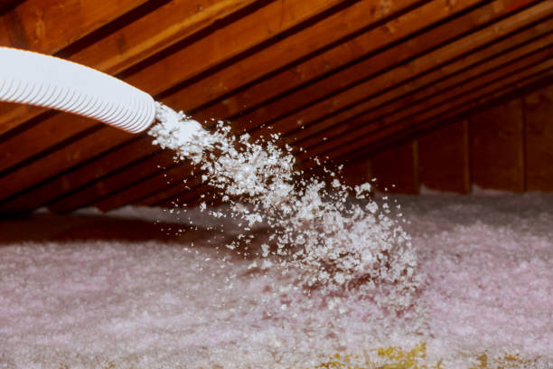 Best Insulation Maintenance and Repair in Leland, NC