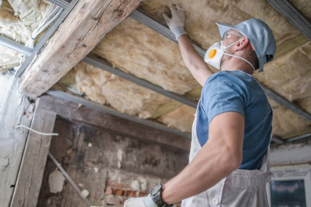Best Spray Foam Insulation in Leland, NC