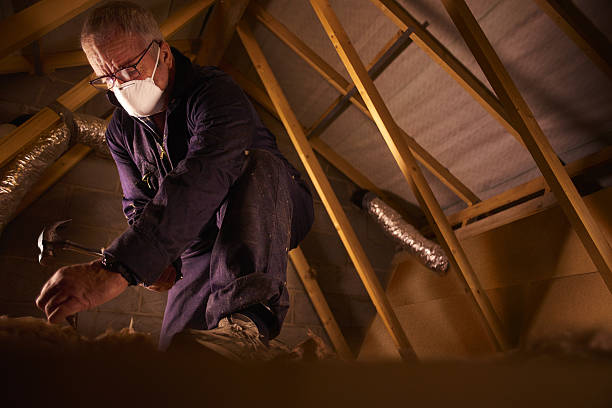 Types of Insulation We Offer in Leland, NC